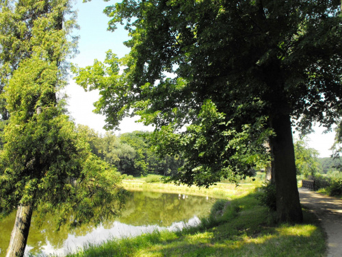 Gołuchów, lato 2009, Ośrodek Kultury Leśniej i zamek w Gołuchowie, Wielkopolski Park Narodowy