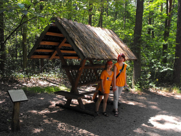 Gołuchów, lato 2009, Ośrodek Kultury Leśniej i zamek w Gołuchowie, Wielkopolski Park Narodowy