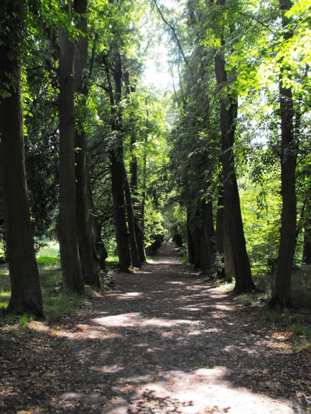 Gołuchów, lato 2009, Ośrodek Kultury Leśniej i zamek w Gołuchowie, Wielkopolski Park Narodowy