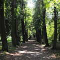 Gołuchów, lato 2009, Ośrodek Kultury Leśniej i zamek w Gołuchowie, Wielkopolski Park Narodowy