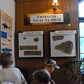 Gołuchów, lato 2009, Ośrodek Kultury Leśniej i zamek w Gołuchowie, Wielkopolski Park Narodowy