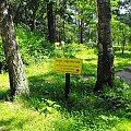 Gołuchów, lato 2009, Ośrodek Kultury Leśniej i zamek w Gołuchowie, Wielkopolski Park Narodowy