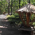 Gołuchów, lato 2009, Ośrodek Kultury Leśniej i zamek w Gołuchowie, Wielkopolski Park Narodowy