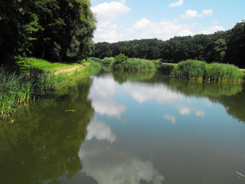 Gołuchów, lato 2009, Ośrodek Kultury Leśniej i zamek w Gołuchowie, Wielkopolski Park Narodowy