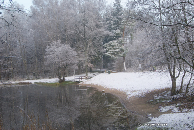 okolice trzech stawków w Słupsku, Park