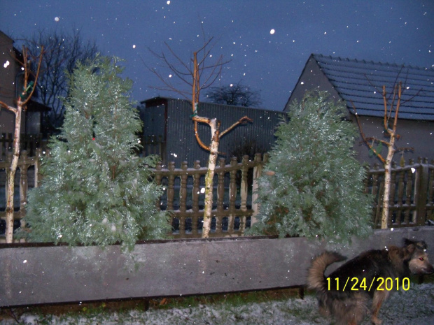 Ho, ho, ho... idzie zima - pierwszy śnieg.