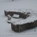 sypie śniegiem, na Pitaszka też.