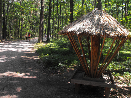 Gołuchów, zamek, arboretum, Ośrodek Kultury Leśnej lato 2009