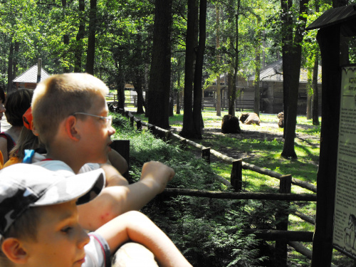 Gołuchów, zamek, arboretum, Ośrodek Kultury Leśnej lato 2009