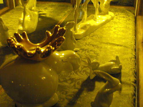 Gołuchów, zamek, arboretum, Ośrodek Kultury Leśnej lato 2009