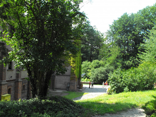 Gołuchów, zamek, arboretum, Ośrodek Kultury Leśnej lato 2009