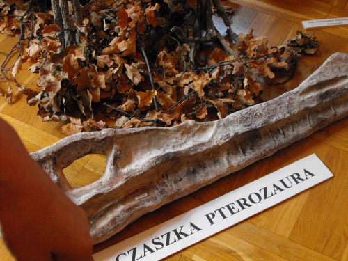 Gołuchów, zamek, arboretum, Ośrodek Kultury Leśnej lato 2009