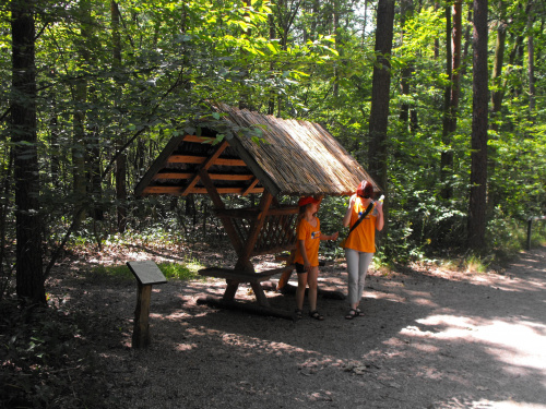 Gołuchów, zamek, arboretum, Ośrodek Kultury Leśnej lato 2009