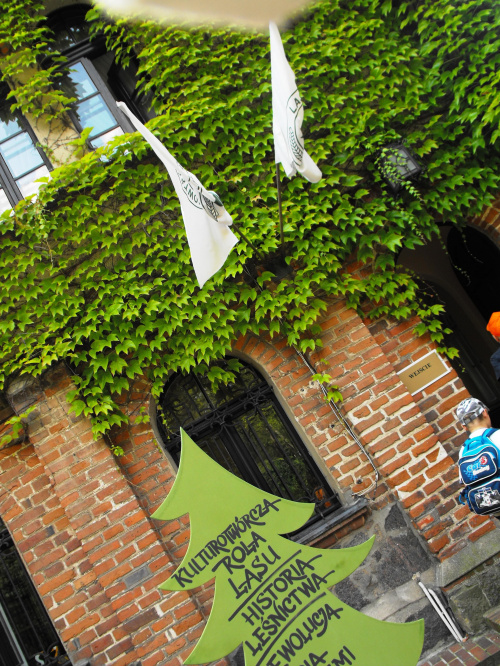 Gołuchów, zamek, arboretum, Ośrodek Kultury Leśnej lato 2009