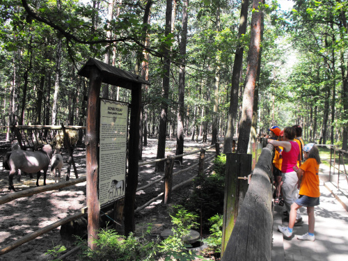 Gołuchów, zamek, arboretum, Ośrodek Kultury Leśnej lato 2009