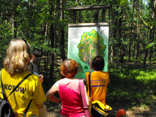 Gołuchów, zamek, arboretum, Ośrodek Kultury Leśnej lato 2009