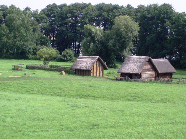 Warsztaty w Puszczykowie, lato 2009, zdjęcia autorstwa Małgosi i Ewy