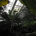 Warsztaty w Puszczykowie, lato 2009, fotki Ewy i Małgosi