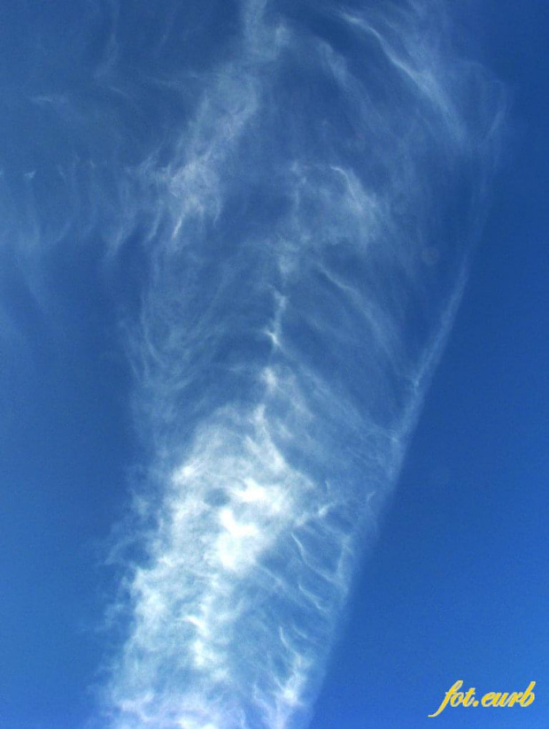 zdjęcie rentgenowskie :) na niebie