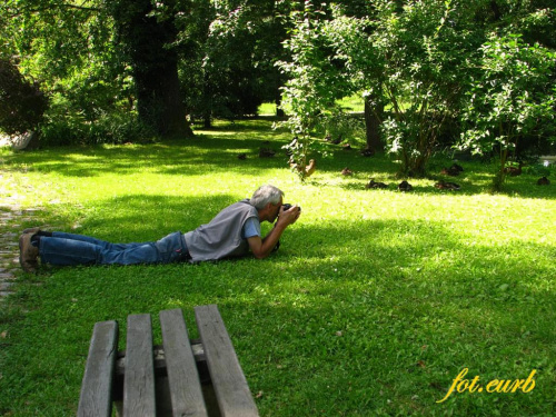 rzut na glebę i jest kwaczy dziób na fotosiku :)