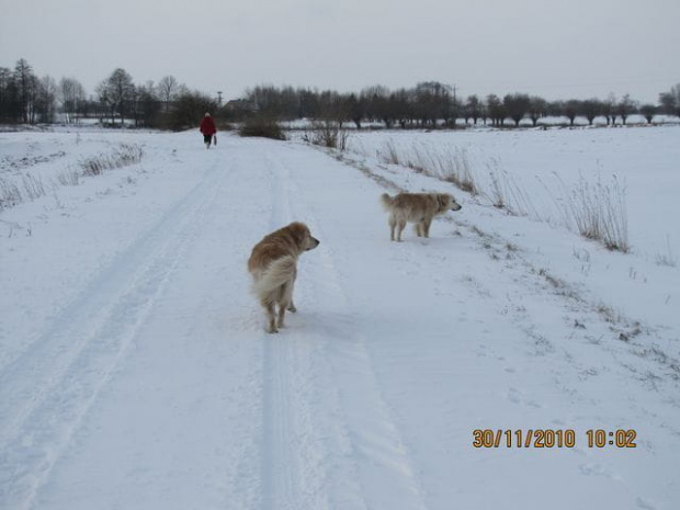 Ale są i ludzie którzy jak za dawnych czasów piechotą do sklepu. Pani Dynarzewska ma 6 km