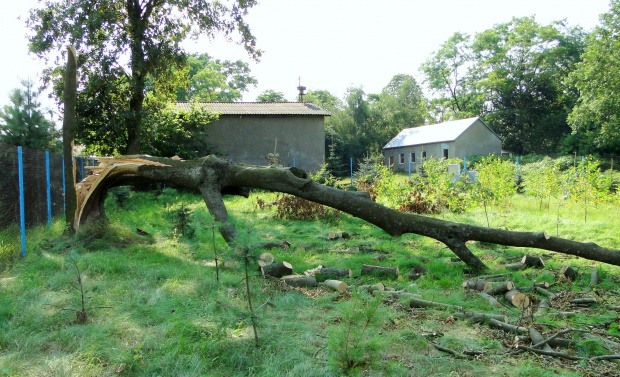 Niedziela nad Widawką