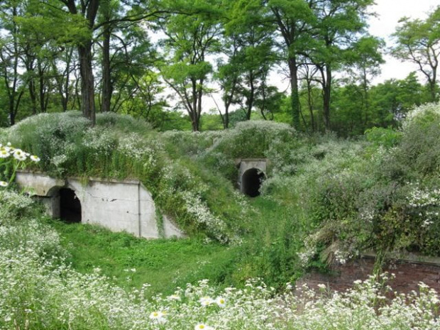 Twierdza Przemyśl - Fort "Łętownia"