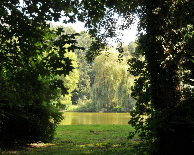 Park przy zamku w Kórniku - Arboretum
