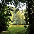 Park przy zamku w Kórniku - Arboretum