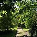 Park przy zamku w Kórniku - Arboretum