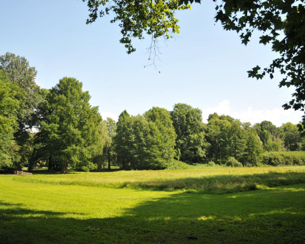 Park przy zamku w Kórniku - Arboretum