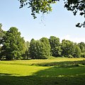 Park przy zamku w Kórniku - Arboretum