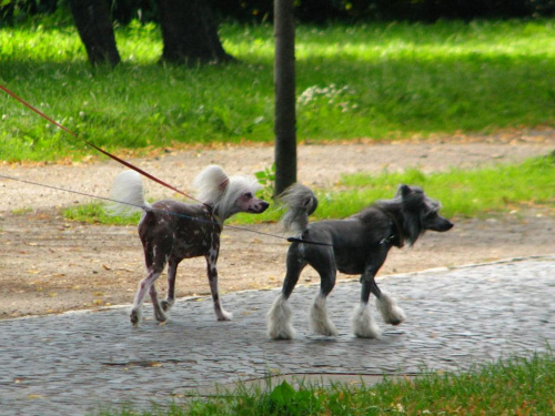 to nie moje, to tylko spotkane po drodze :P