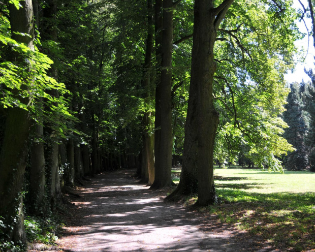 Park przy zamku w Kórniku - Arboretum