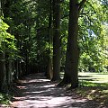 Park przy zamku w Kórniku - Arboretum