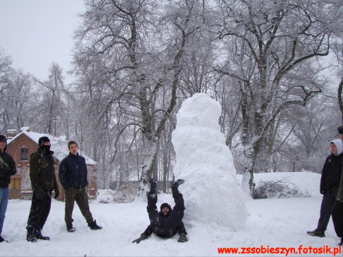 Bałwany 2010 ;-) #Sobieszyn #Brzozowa