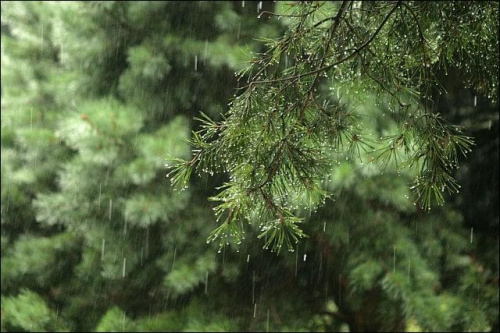 deszczowo, mokro, kropelkowo