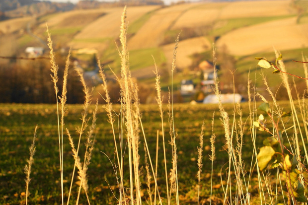 Lubcza jesienią #Lubcza #jesień #autumn #xnifar #rafinski