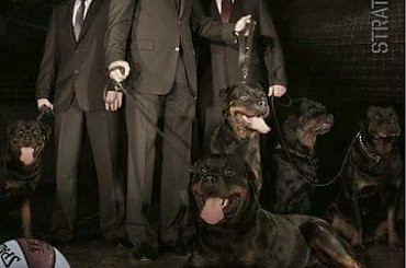 #rottka #anwil #rottweilery #rottweiler #koszykówka #kosz #włocławek