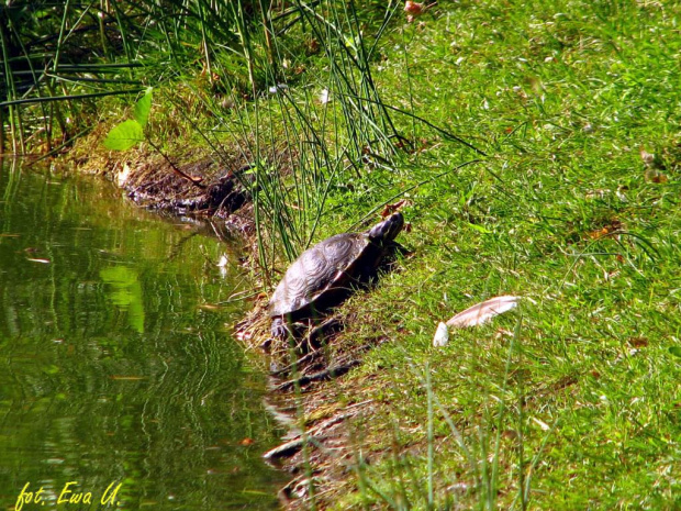 park przy Racławickiej :)