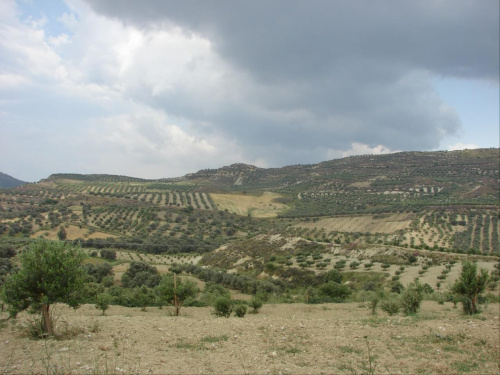 równina Messaria Kreta, zabytki Gortyna - Mires - Agia Triada - Festos - Ag.Joanni, Matala #Matala #Kreta