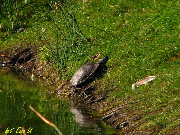 park przy Racławickiej :)