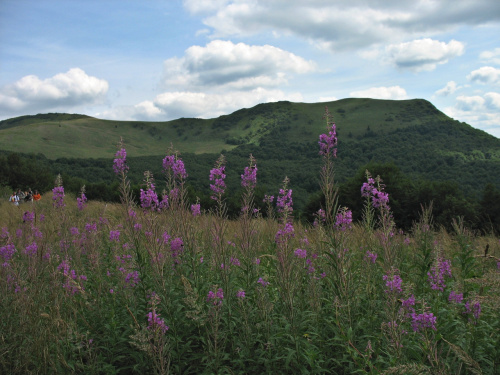 Bieszczady #góry #Bieszczady #PołoninaWetlińska