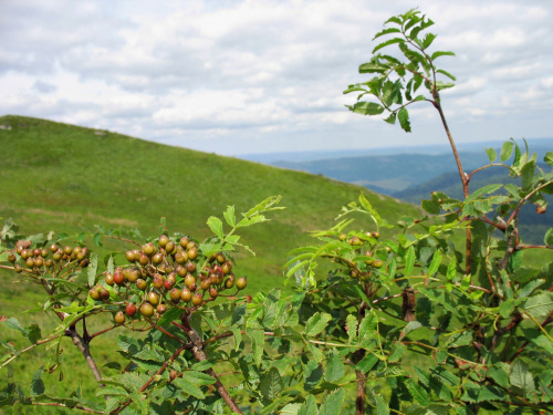 Bieszczady #góry #Bieszczady