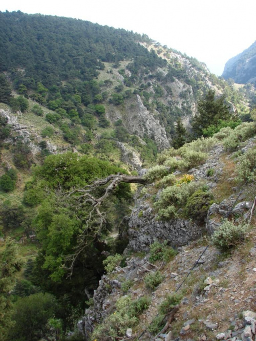 spacer górą kanionu Imbros #Kreta #Vrises #KanionImbros