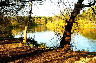 Warta w Naramowicach w jesiennych kolorach. #rzeki