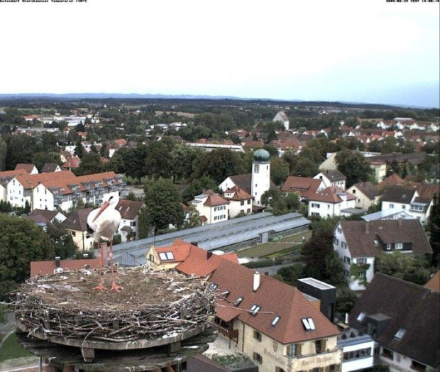 Aulendorf