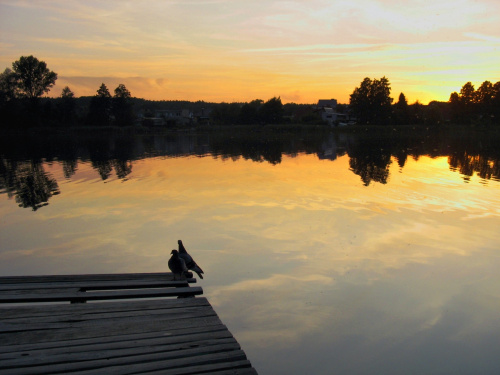 #jezioro #Lubięcin #ZachódSłońca #niebo #kładka #gołębie