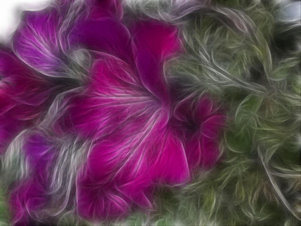 Dzień dobry wszystkim ;-) #kwiatek #fractalus
