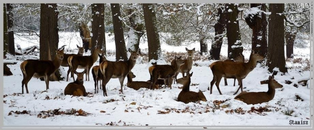 ... Lunch time ...